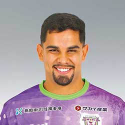 アンデルソン